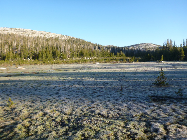 Long Meadow along the John Muir Trail covered in frost.