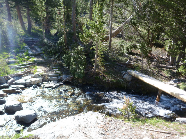 Blowdows at Duck Creek crossing on the John Muir Trail.