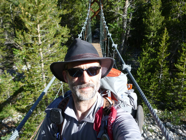 Bridge over the Creek Woods