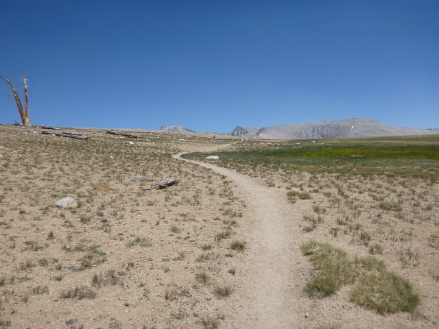 Bighorn Plateau