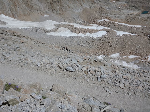 Hikers ascending the 99 switchbacks.
